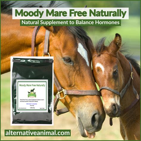 Promoting Mare Happiness with Magiic Supplements